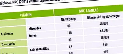 предлагането предлагането