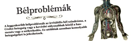 болки ставите болки ставите