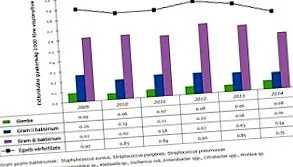 мазки