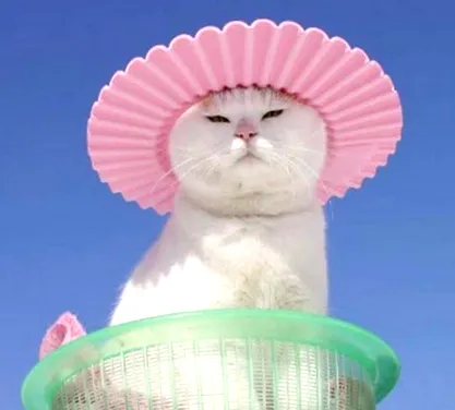 блог блог
