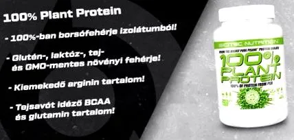 білок білок