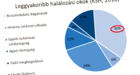 stilului stilului