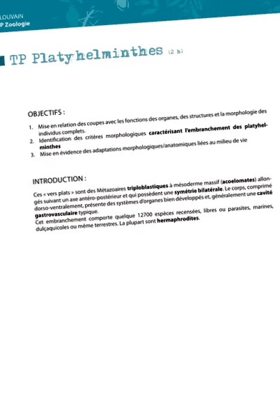pentru pentru