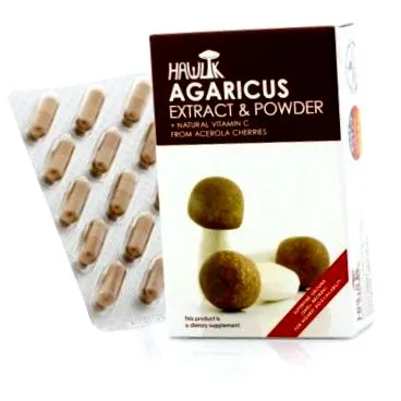 sol-agaricus