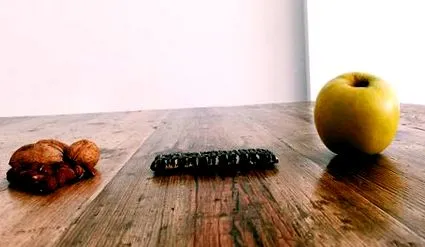 здоровим