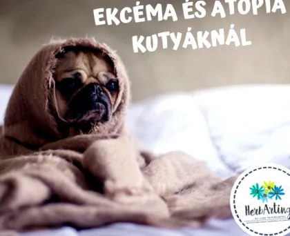 атопия екзема екзема атопия