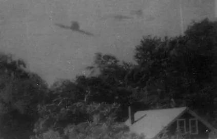 попаднаха страхотни