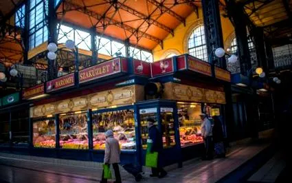 nutriția