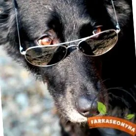 нахраните чесън