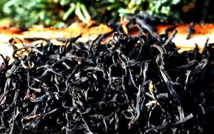 lapsang souchong
