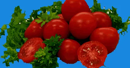 ензими същото количество
