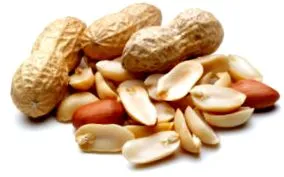 alimentare alte