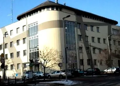 вино греяно