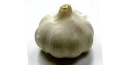 ушна ушна