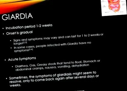giardia симптоми