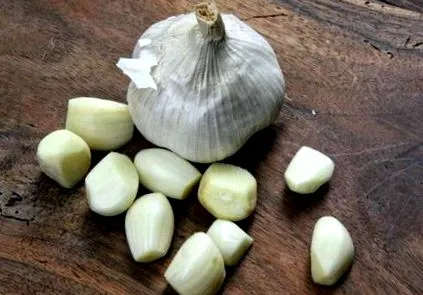 caseiro giardia