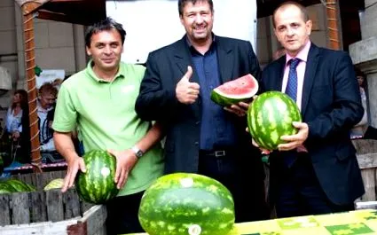диня диня