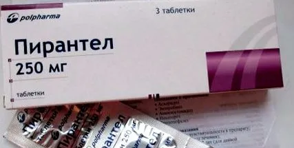 viermi