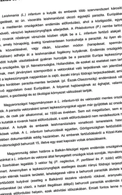 бику бичачий