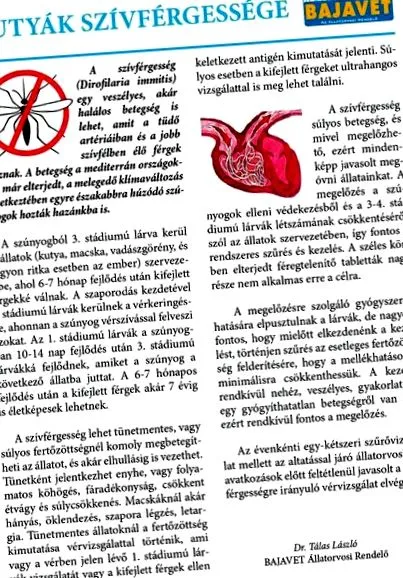 позбутися глистів позбутися глистів