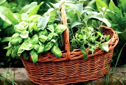 вкусна приготвите