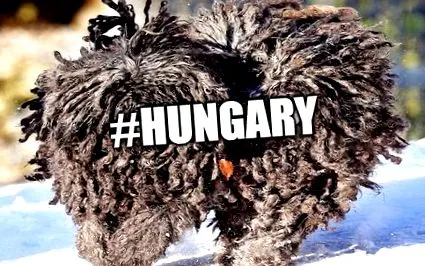 унгария днес