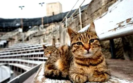 спасим много