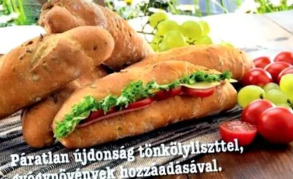 ново ново