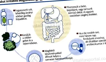 intestinului