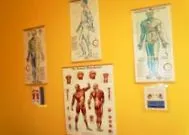 ориенталски техники