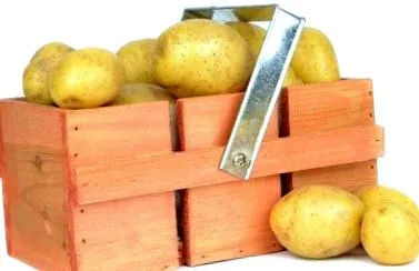 започнем храненето