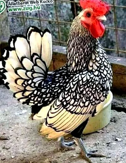 снимки снимки