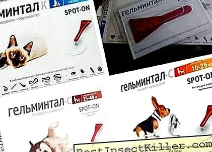хлорамфеникол заразява