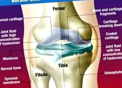 diagnostic pentru
