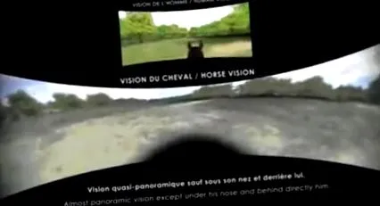 видео специално