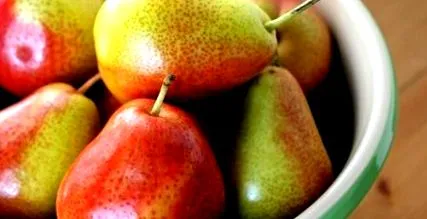 двете Pyrus ръководство