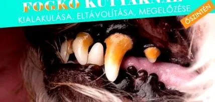 зъбен кучешки