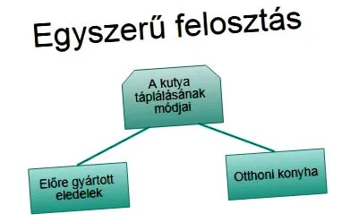 кучета котки заден план