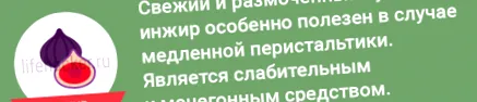 здравето храна