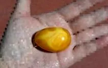 балтийски