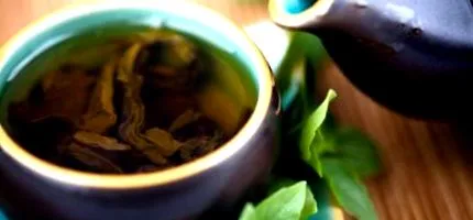 yerba