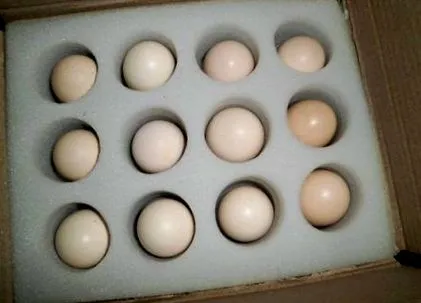 цвят какъв