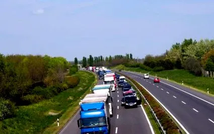 observat mișcare
