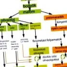 категорії екстра