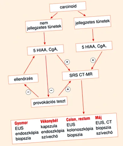 устата устата