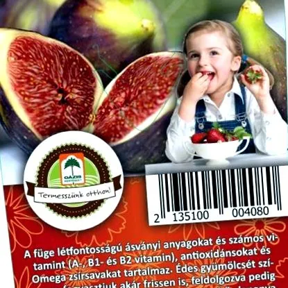 смокини ficus