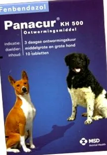 panacur котка