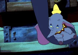 panna pocak