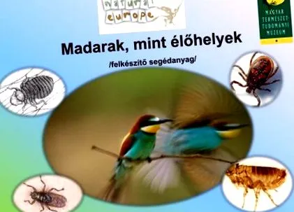 місце середовище