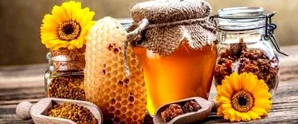 propolis антибиотик